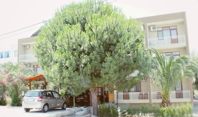 Albergo Hotel
