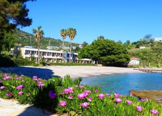 Marvel Tree Beach Hotel